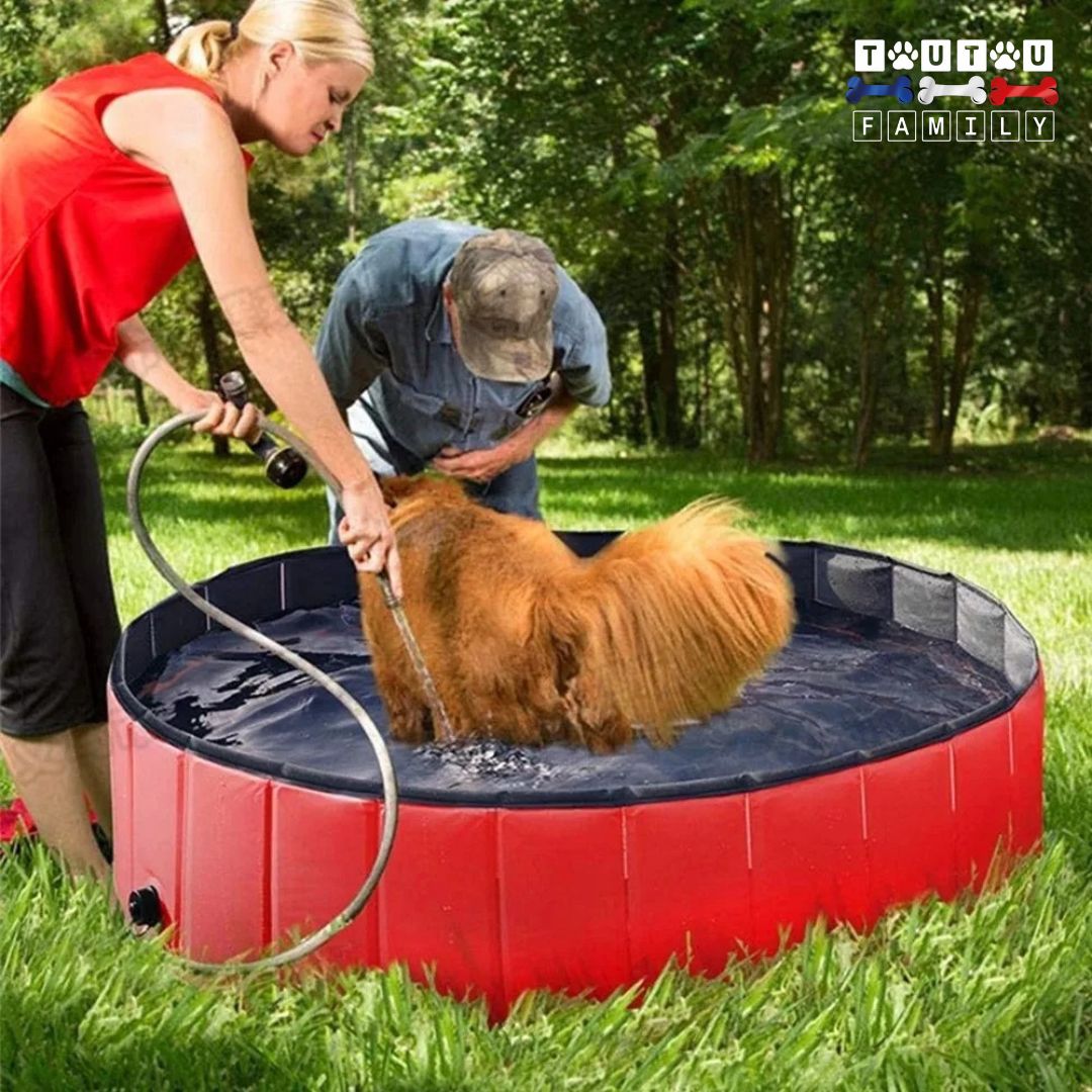 Piscines pour chiens - AquatiqueToutou™