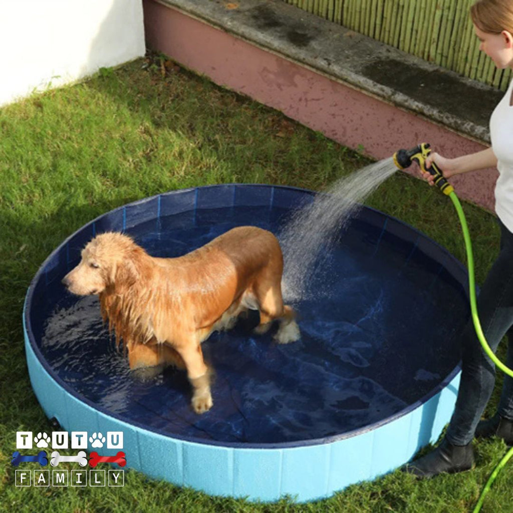 Piscine pour chien - NageToutou™