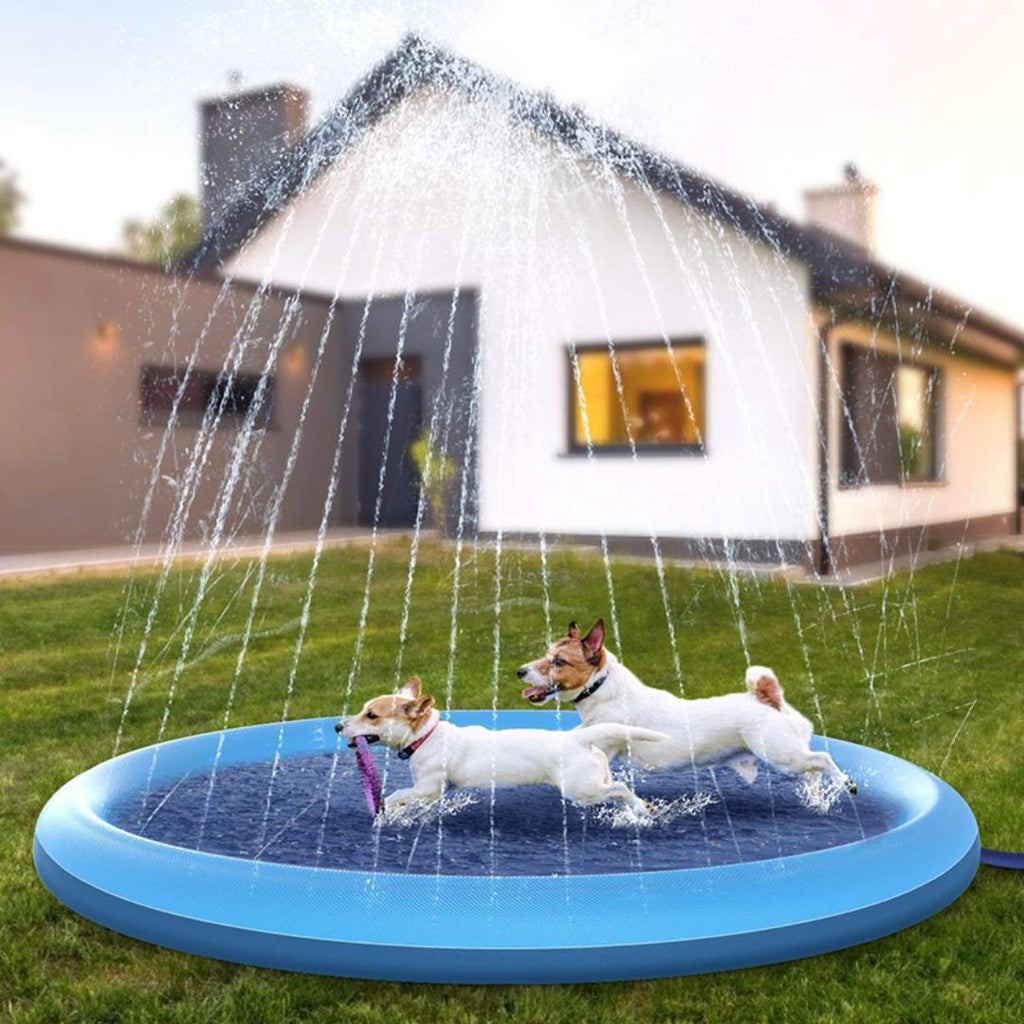 Piscine pour chien avec jet d'eau | SplashDog™