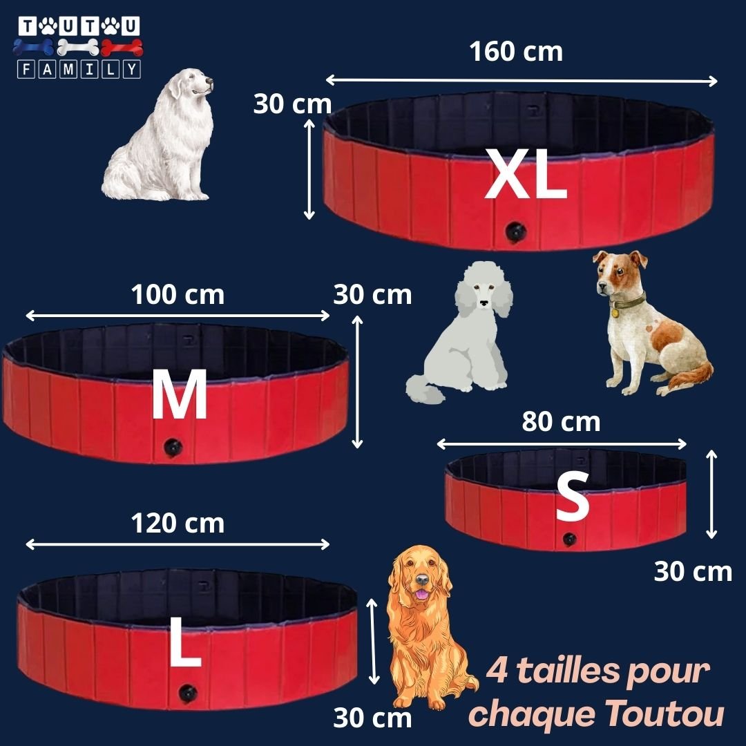 Piscines pour chiens - AquatiqueToutou™
