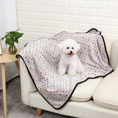 PLAID CANAPÉ CHIEN – CANAPLAID™
