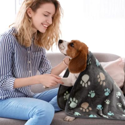 PLAID CHIEN – COSYPAW™
