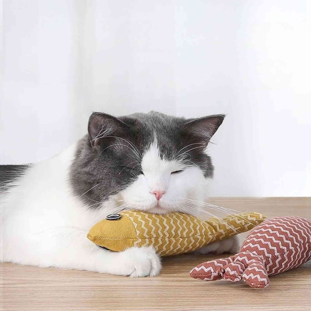 Poisson pour chat | Poisson'Mignon