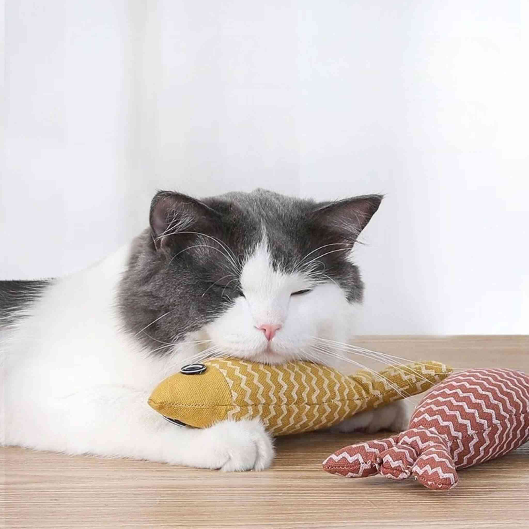 Poisson pour chat | Poisson'Mignon