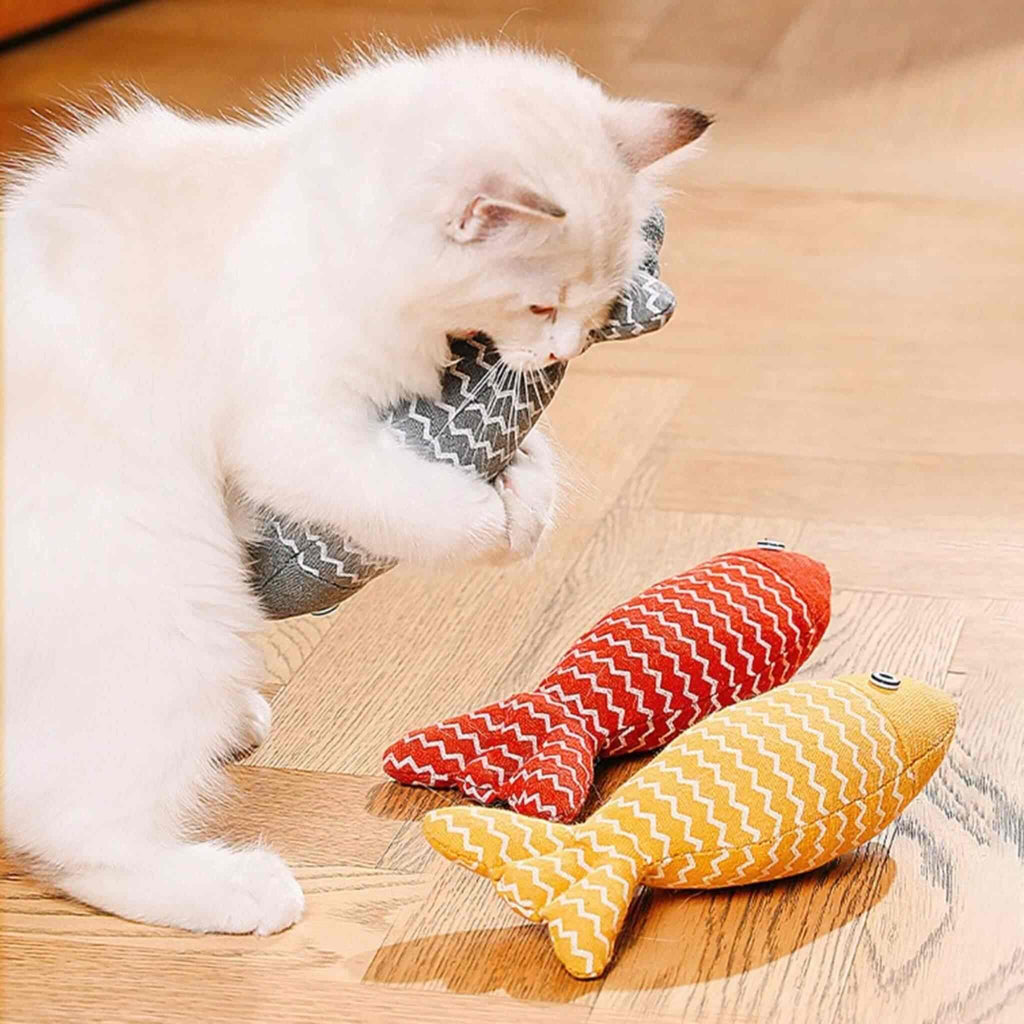Poisson pour chat | Poisson'Mignon