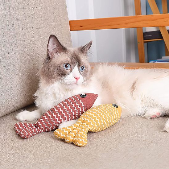 Poisson pour chat | Poisson'Mignon
