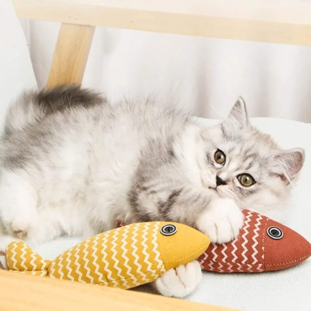 Poisson pour chat | Poisson'Mignon