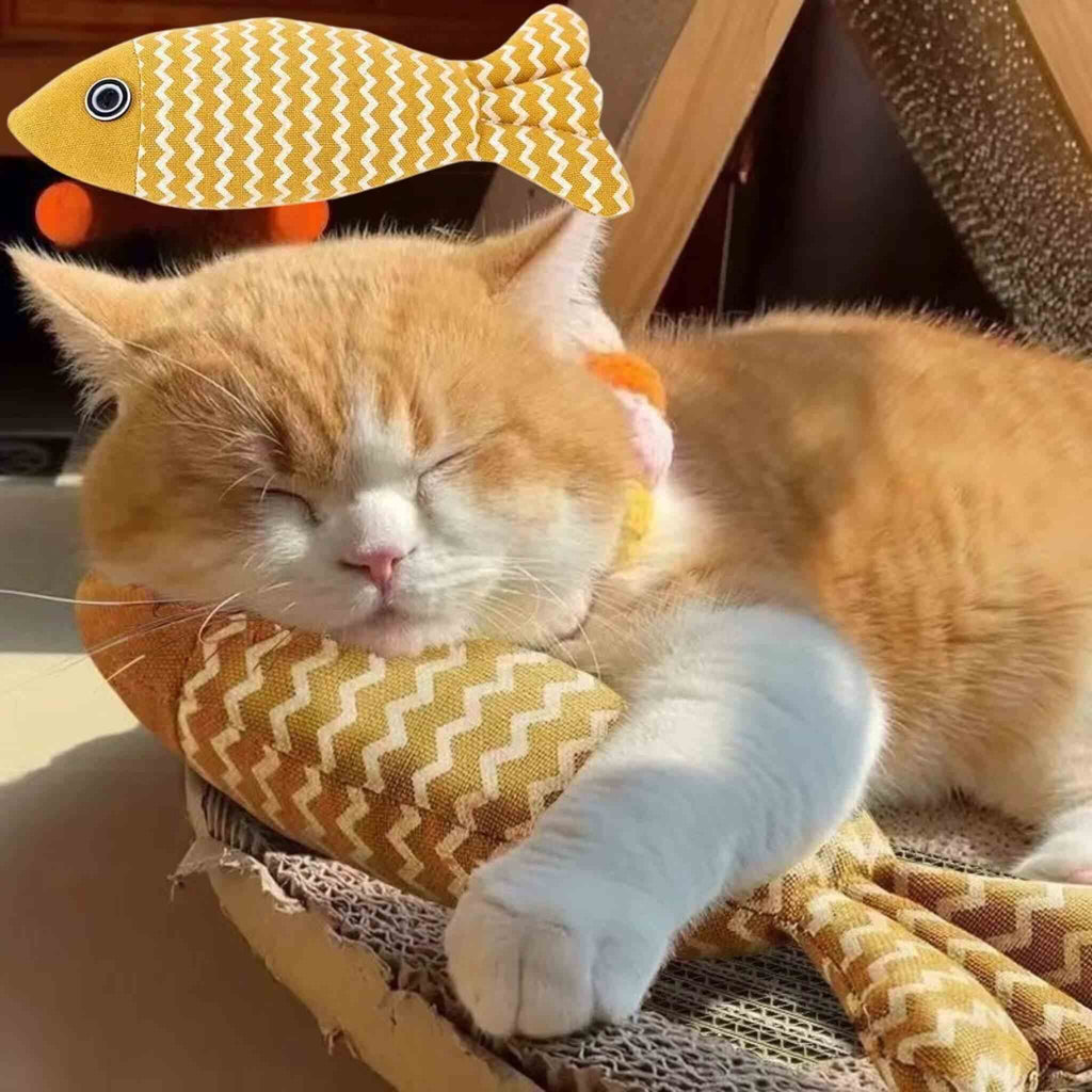 Poisson pour chat | Poisson'Mignon