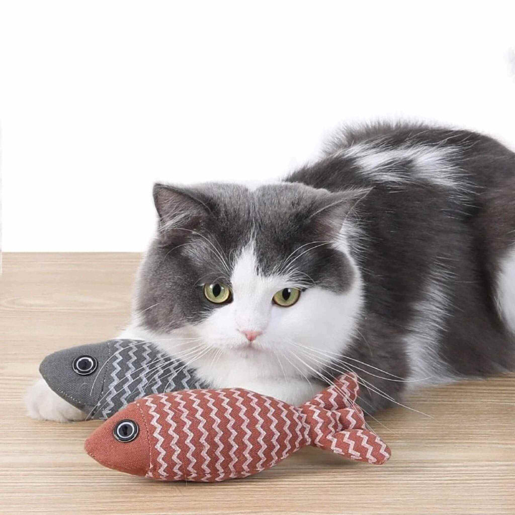 Poisson pour chat | Poisson'Mignon