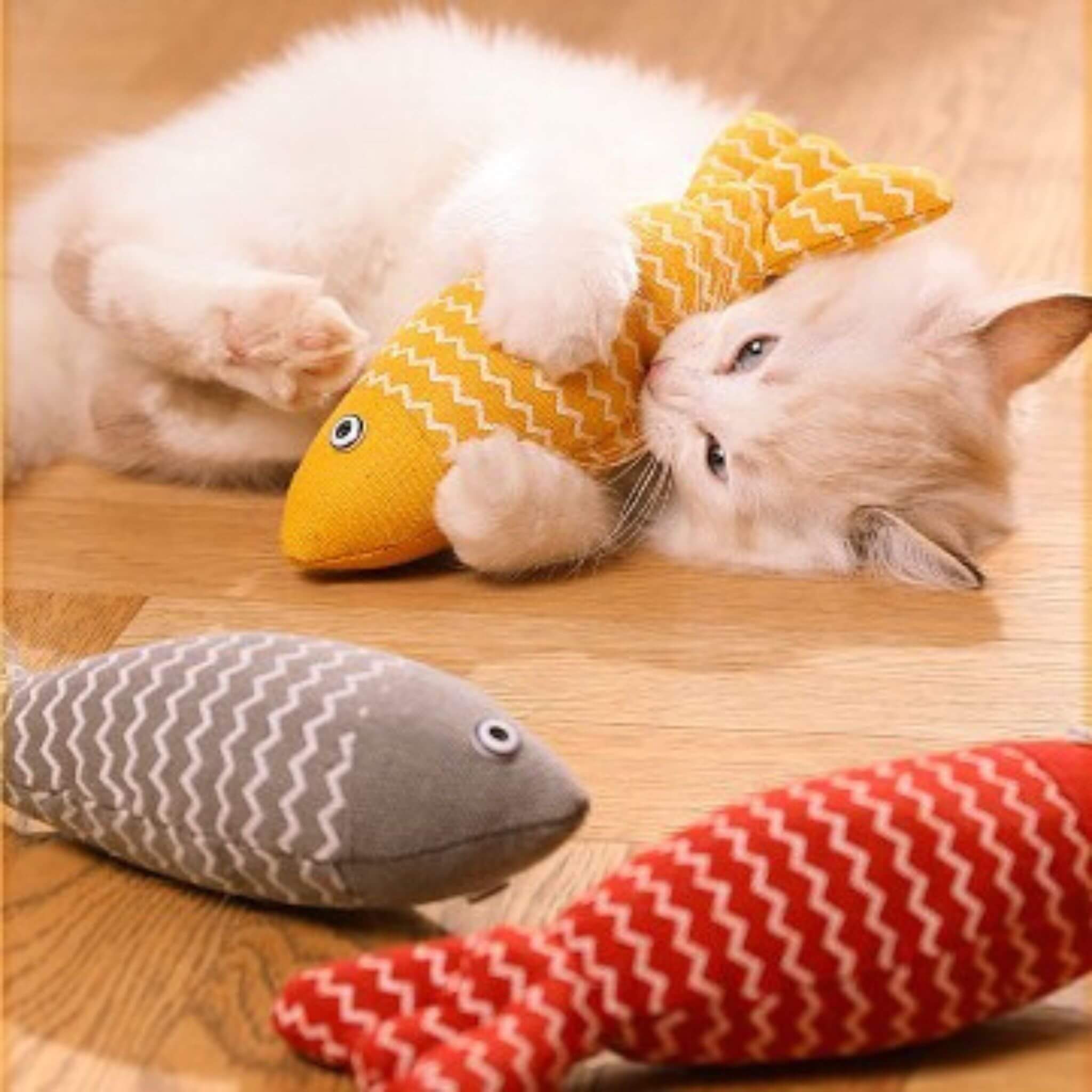 Poisson pour chat | Poisson'Mignon