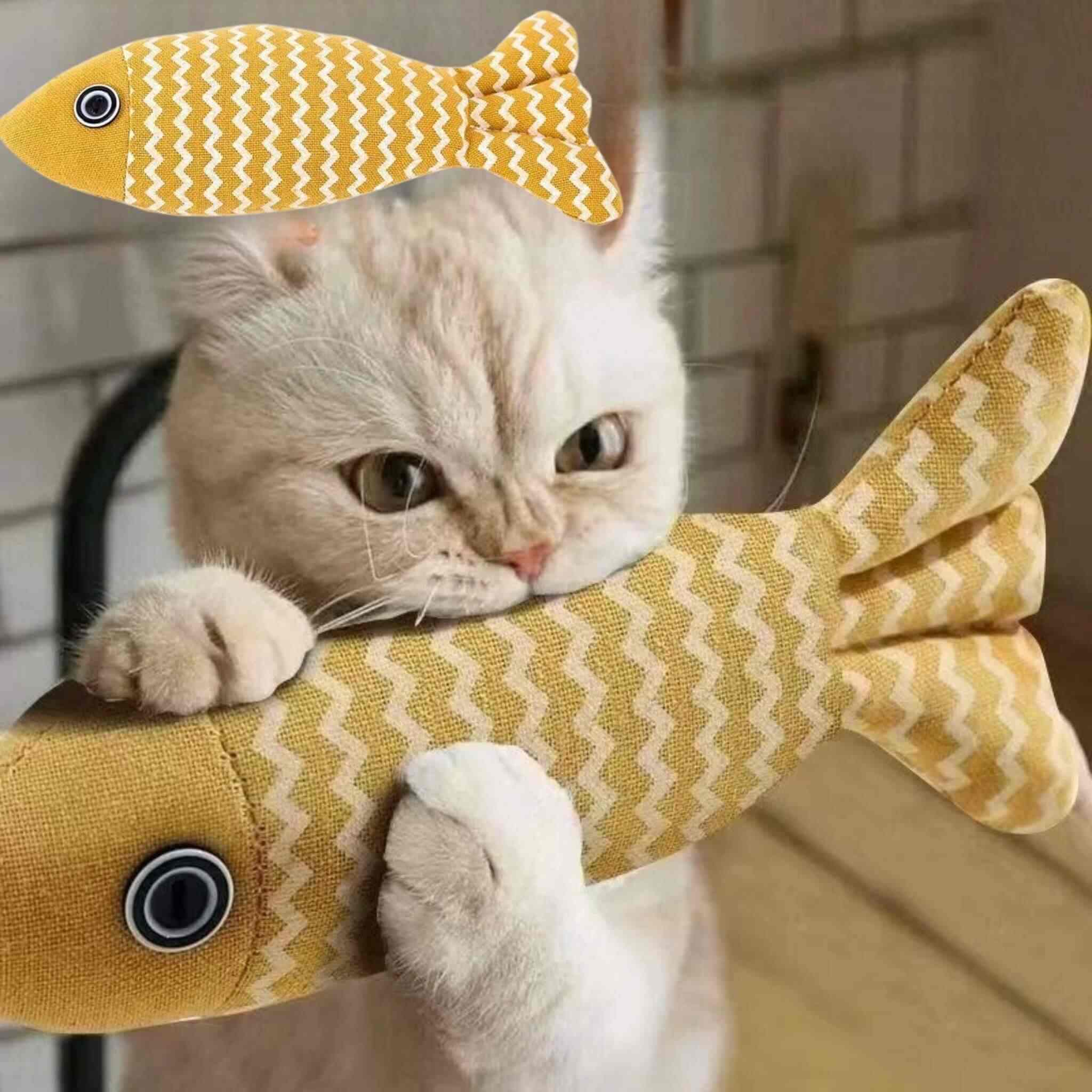 poisson-pour-chat-mordre