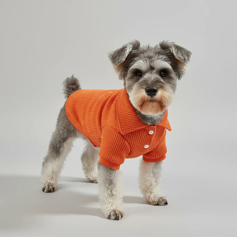 Polo Léger Et Confortable Pour Petit Chien