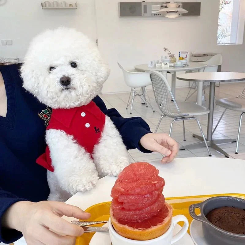 Polo pour Chien Luxe