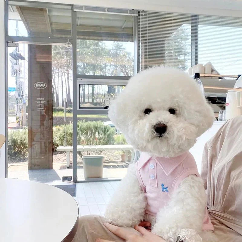 Polo pour Chien Luxe
