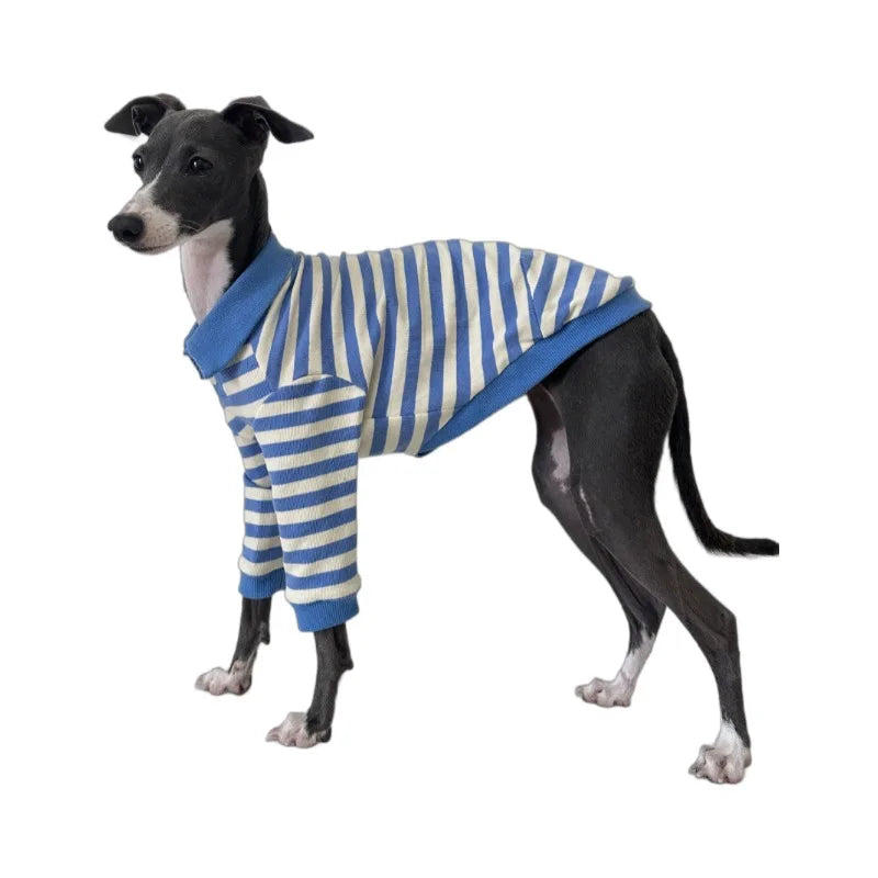 Polo En Coton Rayé Pour Lévrier Italien Et Whippet