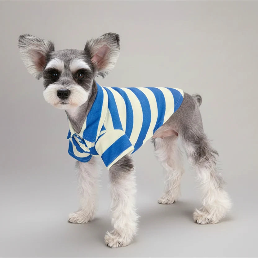 Polo rayures pour petit chien en bleu et blanc, idéal pour les promenades élégantes