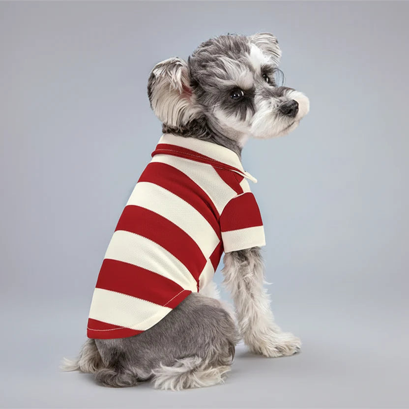 Polo A Rayures Confortable Pour Petit Chien