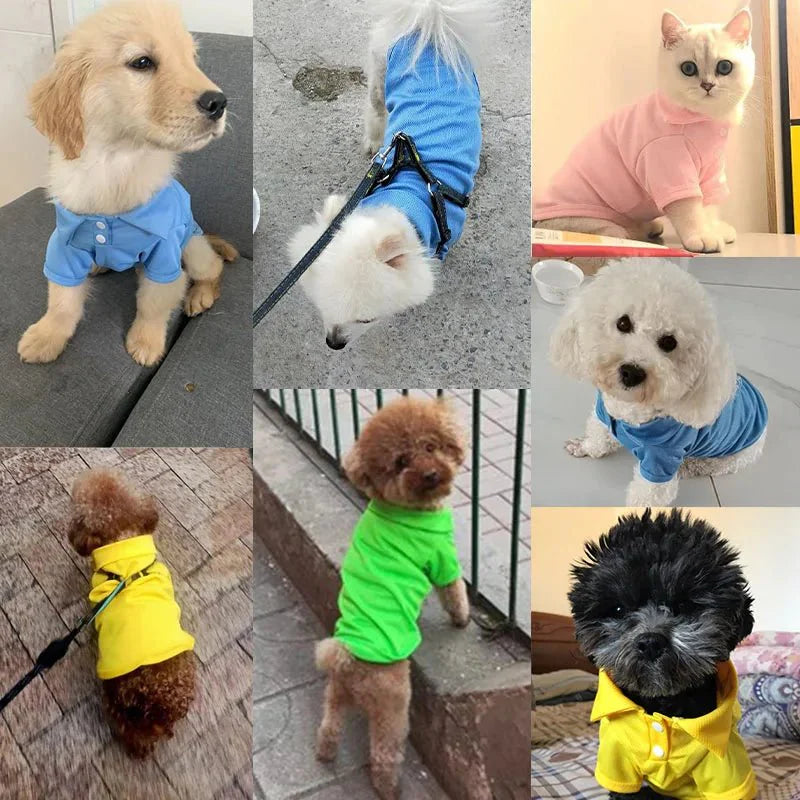 Polo Uni pour Petit Chien