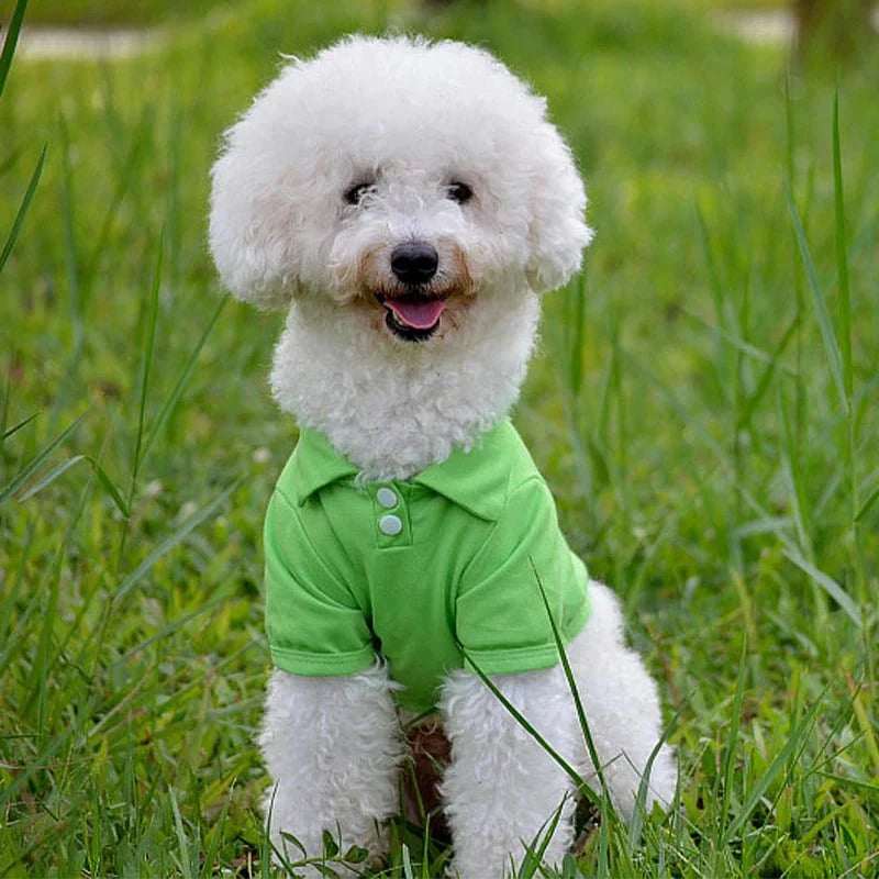 Polo Uni pour Petit Chien