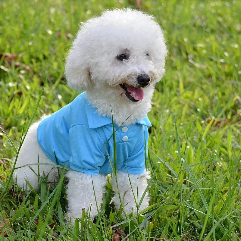 Polo Uni pour Petit Chien