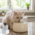 pompe fontaine a eau chat AquaCéramique