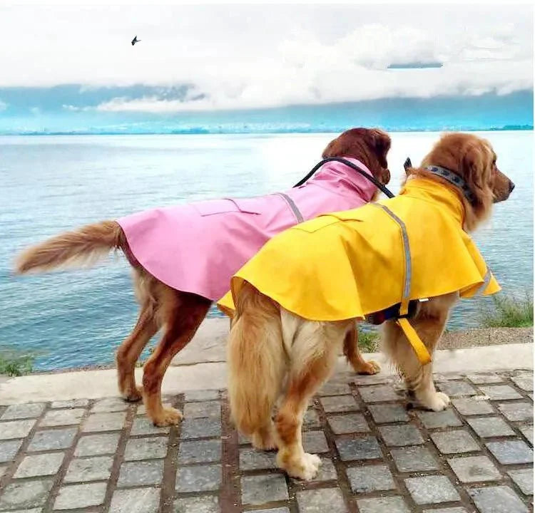 Poncho de pluie pour chien