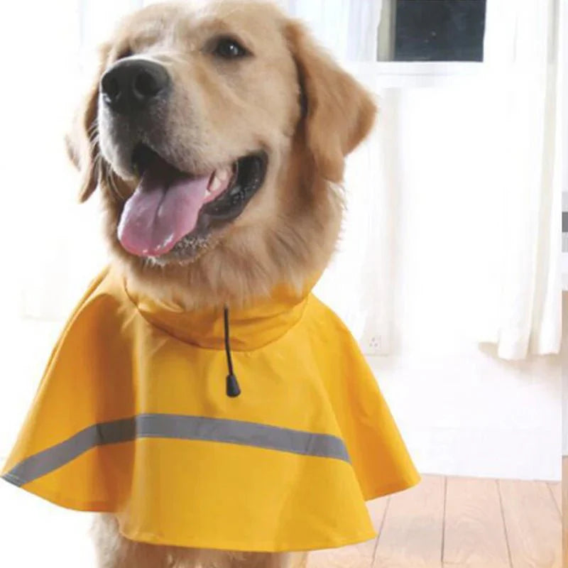 Poncho de pluie pour chien