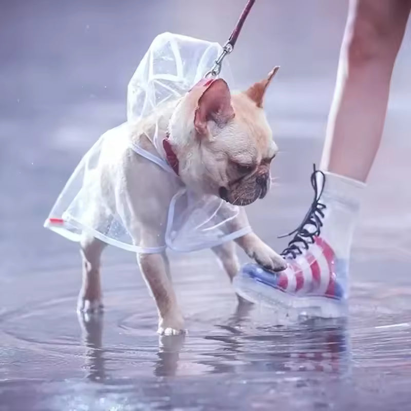 Poncho Pluie Chien