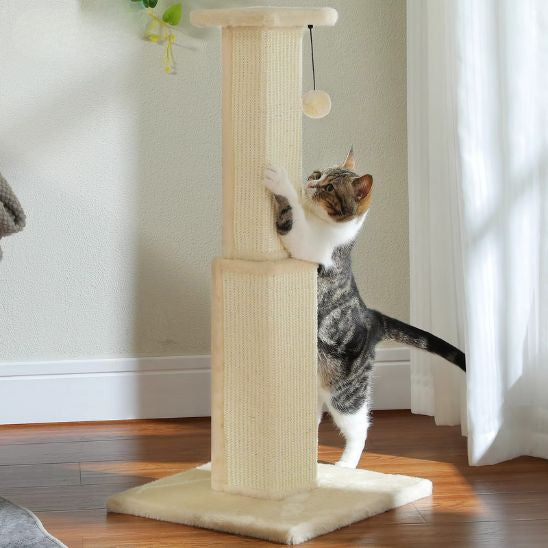 Poteau Griffoir Chat | Griff'Folie