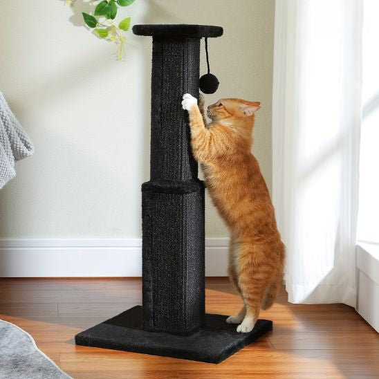Poteau Griffoir Chat | Griff'Folie