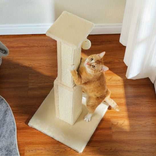 Poteau Griffoir Chat | Griff'Folie