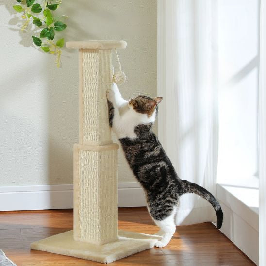 Poteau Griffoir Chat | Griff'Folie