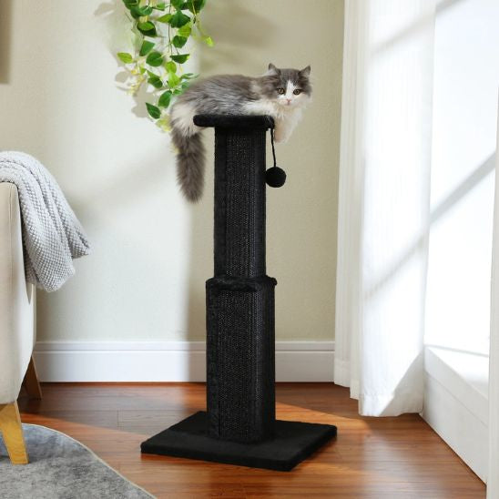 Poteau Griffoir Chat | Griff'Folie