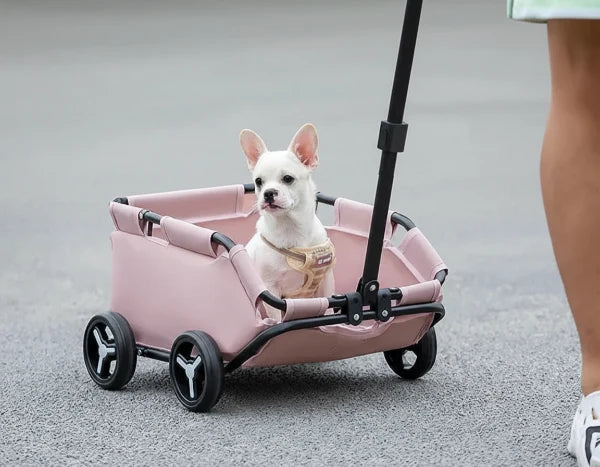 Poussette Pliante Pour Chien Compacte Et Résistante