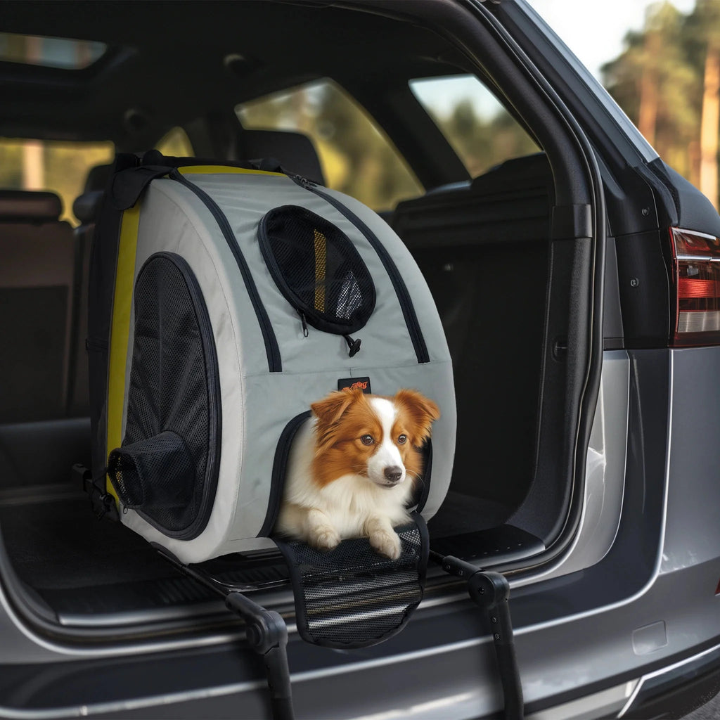 Poussette Pour Chien Modulable Résistante Et Design