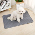 Tapis absorbant chien - AlèseToutou™