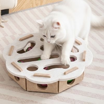 Jouet  chat interactif  | Cache-Cache Furtif
