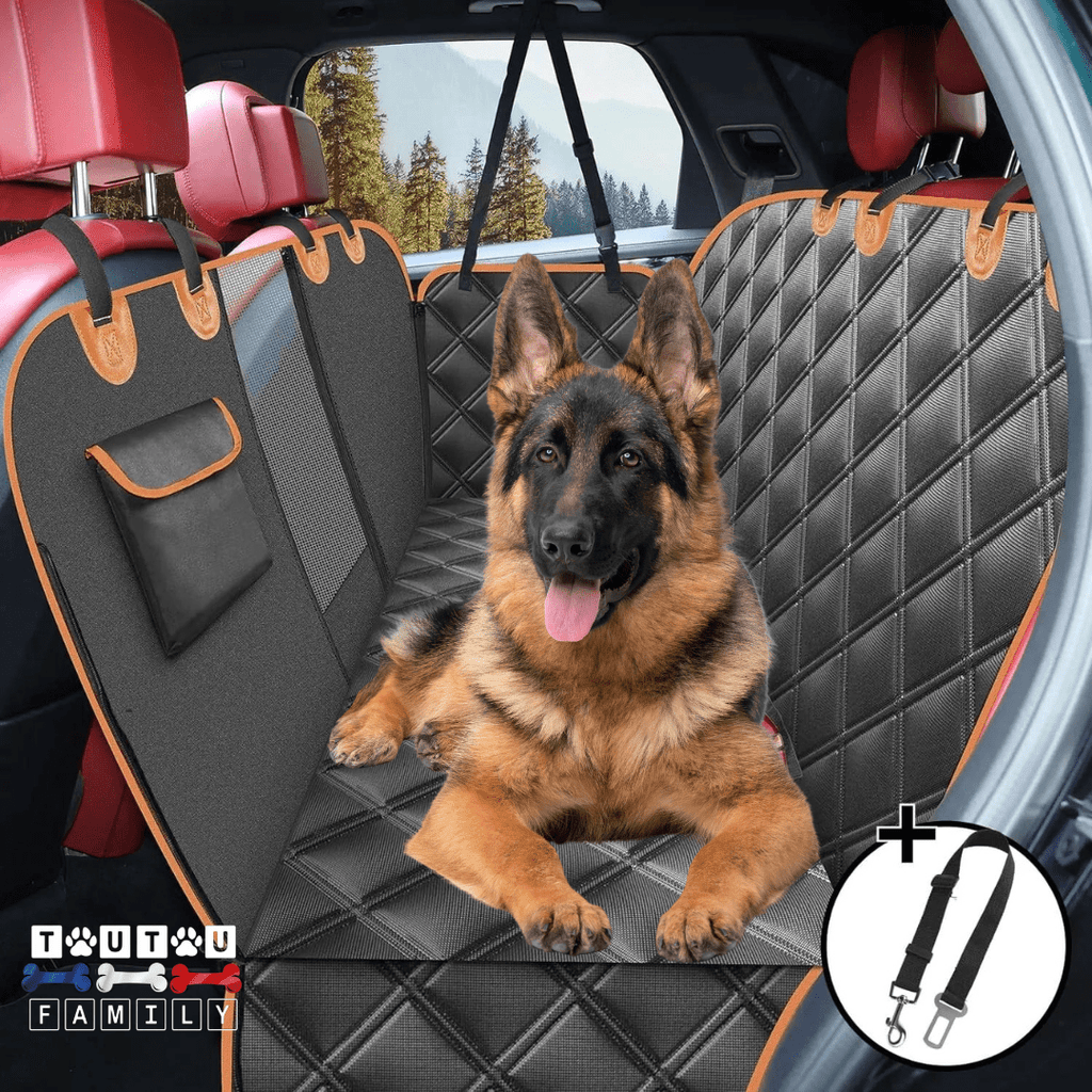 Protection-siege-arriere-voiture-chien , hamac imperméable matelassé et fond rigide avec sangles d'accroche sur les appuies tête et filet de protction au milieu des deux siège avant pour une ventilation optimal et une visibilité pour le conducteur ou passage sur le chien avec ouverture pour les clips de ceinture de sécurité, pliable et matelassé pour le tranport- avec une ceinture de sécurité pour chien offerte-un berger allemand couché confortablement sur le protège de la banquette arrière de la voiture