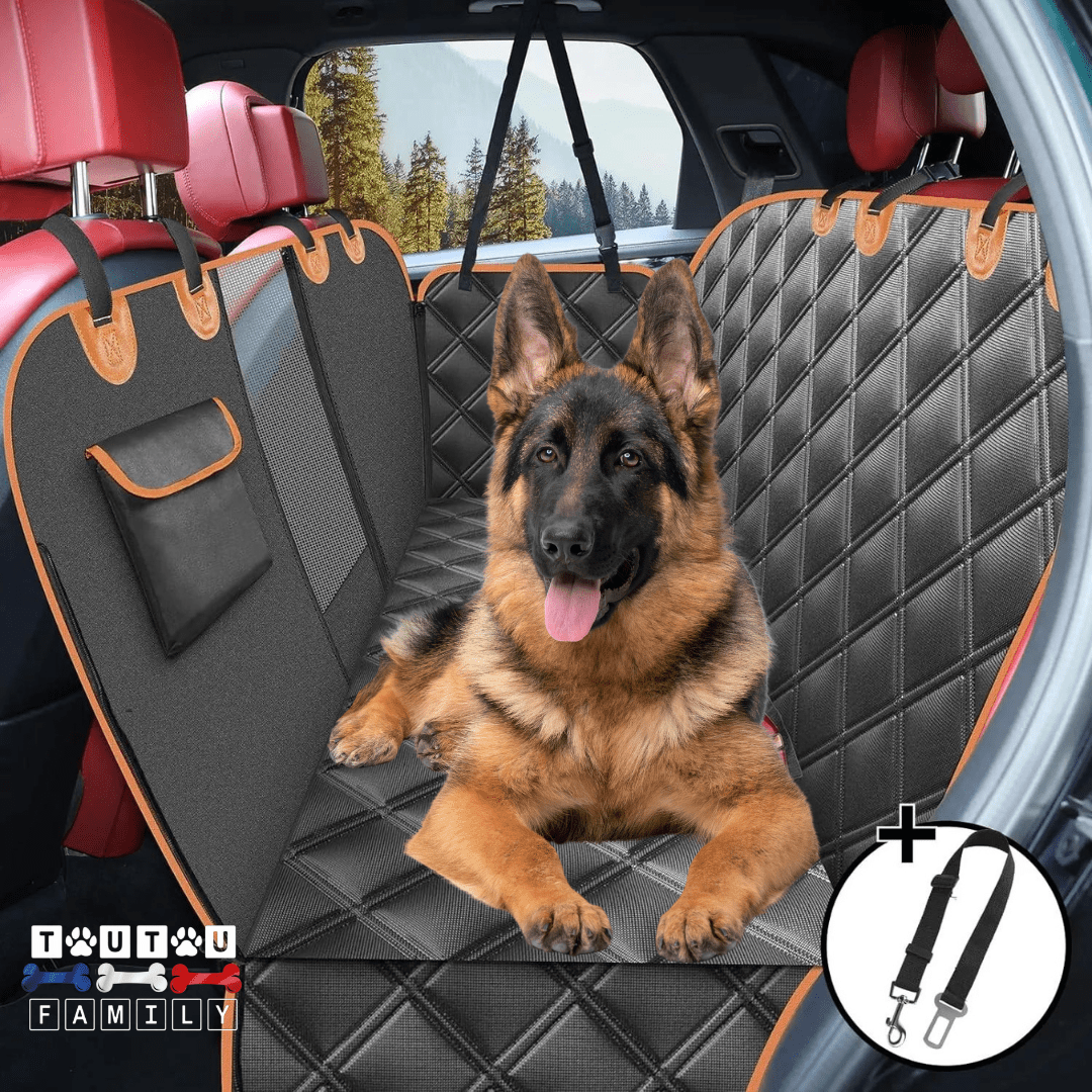 Protection-siege-arriere-voiture-chien , hamac imperméable matelassé et fond rigide avec sangles d'accroche sur les appuies tête et filet de protction au milieu des deux siège avant pour une ventilation optimal et une visibilité pour le conducteur ou passage sur le chien avec ouverture pour les clips de ceinture de sécurité, pliable et matelassé pour le tranport- avec une ceinture de sécurité pour chien offerte-un berger allemand couché confortablement sur le protège de la banquette arrière de la voiture