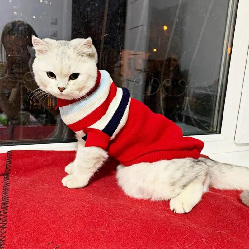 Pull à Rayures pour Chat