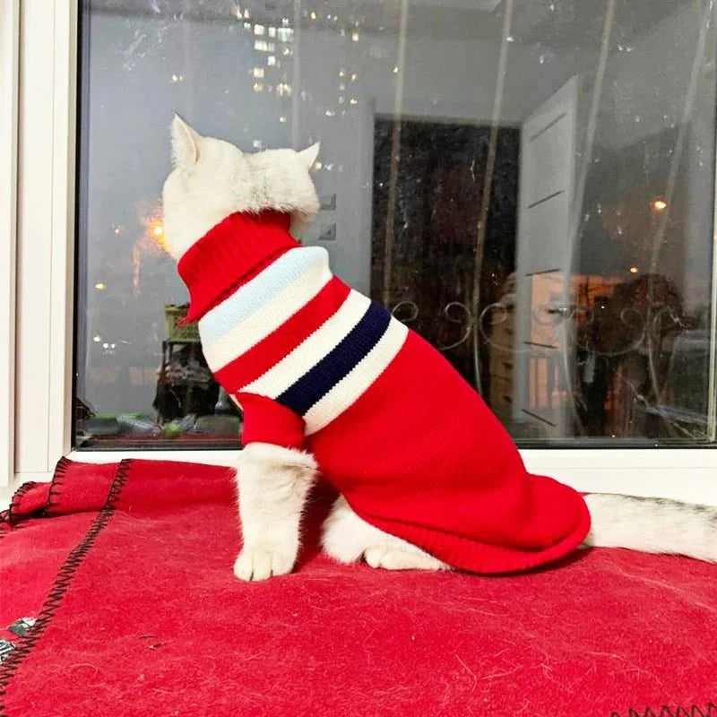 Pull à Rayures pour Chat