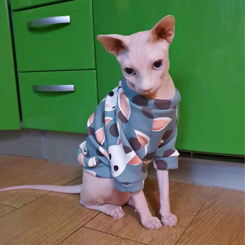 Pull Bleu pour Chat