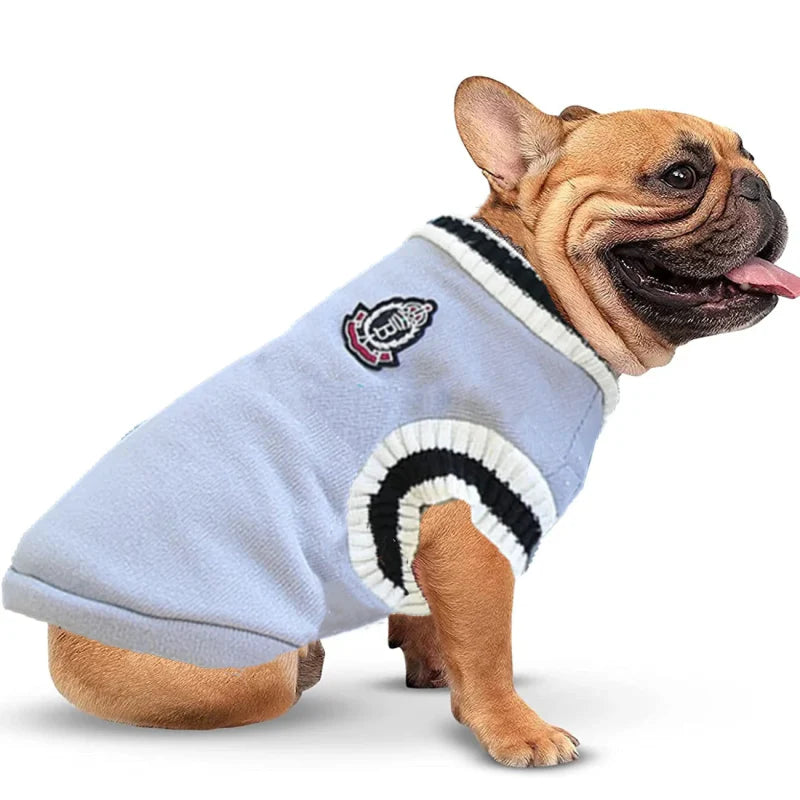 Pull Bouledogue Français & petit chien