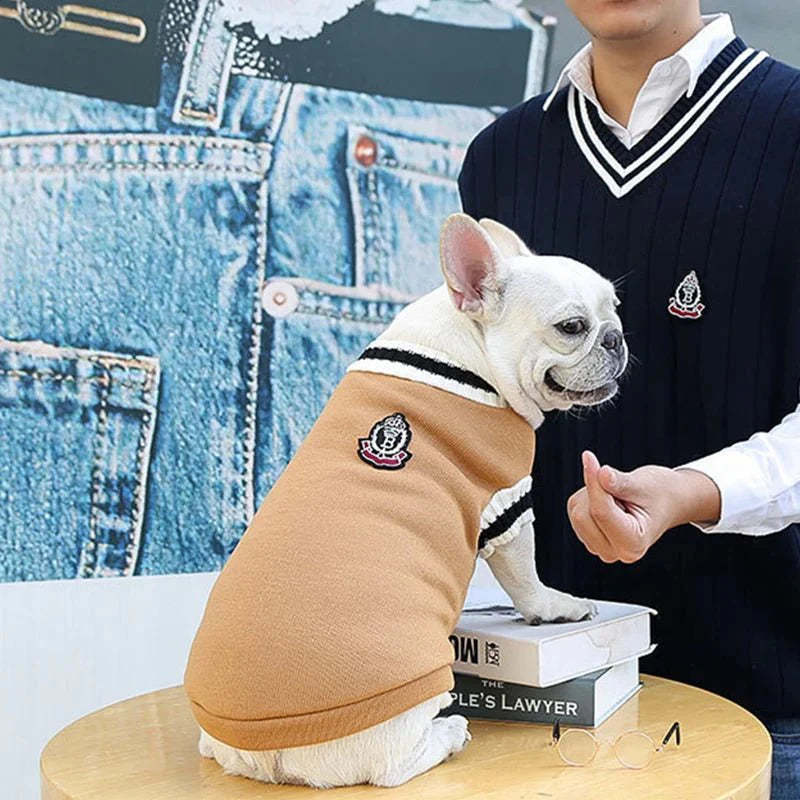 Pull Bouledogue Français & petit chien