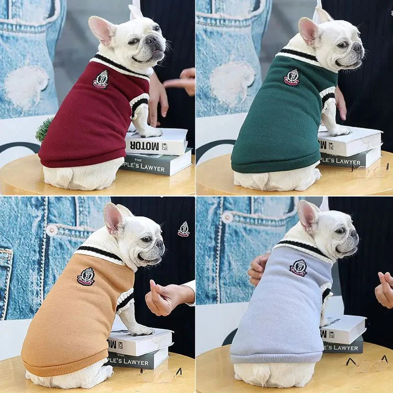 Pull Bouledogue Français & petit chien