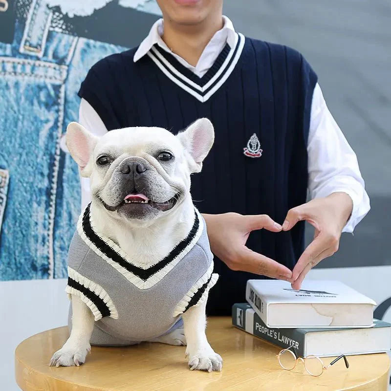 Pull Bouledogue Français & petit chien