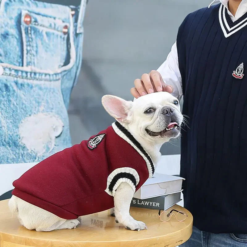 Pull Bouledogue Français & petit chien
