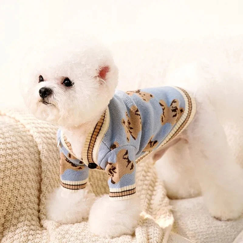 Pull Brodé pour Chien