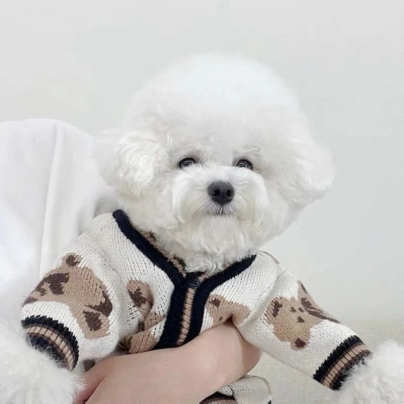 Pull Brodé pour Chien