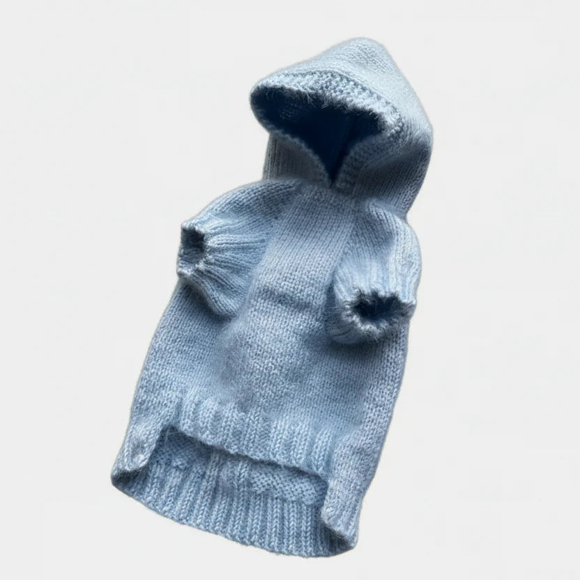 Pull Chaud Elégant Avec Capuche Pour Chien